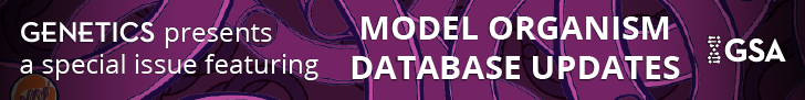 Model Organism Database Updates
