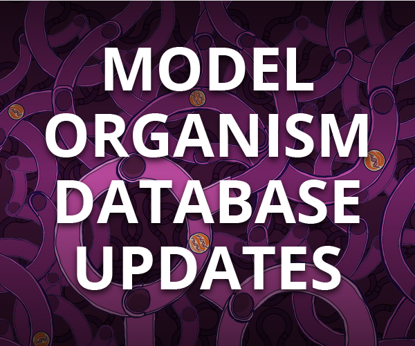 Model Organism Database Updates