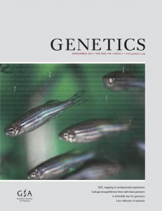 GENETICS zebrafish cover