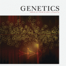 February 2014 issue of GENETICS