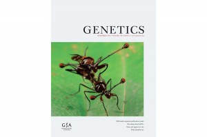 genetics november cover