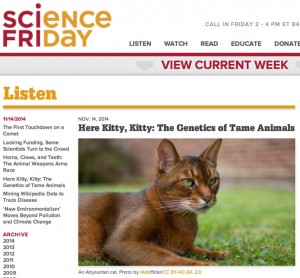 Science Friday story on Heyne et al
