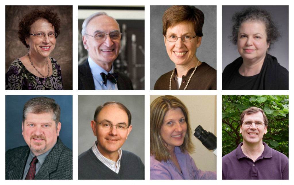 GSA members elected to the 2015 class of AAAS Fellows: (top, l-r) Julie Brill, Gerald Fink, Pamela Geyer, Hannah Klein; (bottom, l-r) Erik Lundquist, Joseph Reese, Beth Sullivan, Roger Wise
