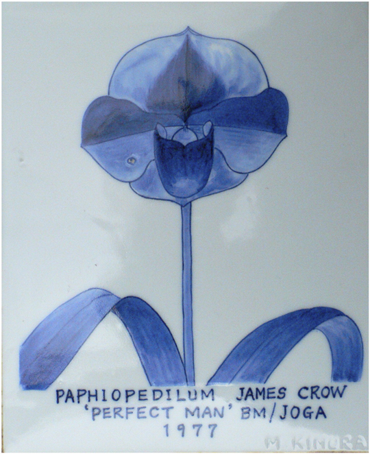Prize-winning orchid bred by Motoo Kimura and named in honor of James Crow. The photo shows a tile painted by Kimura and given to Crow as a gift. From Susman and Greenberg Temin 2012