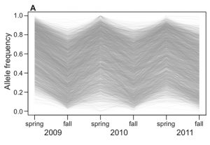 Allele frequency change at ∼1750 seasonal SNPs. From Bergland et al.