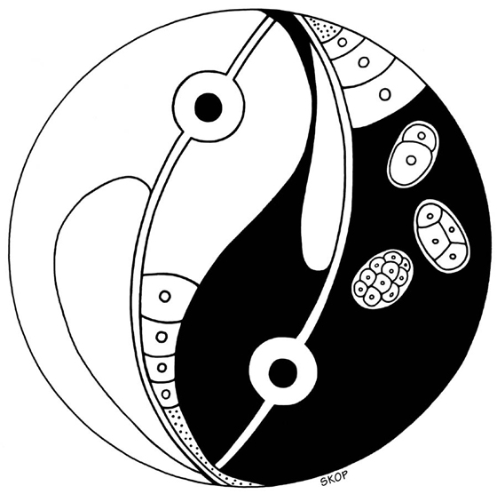 Logo for the 1997 C. elegans Meeting