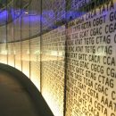 DNA Sequences Listed on a Wall