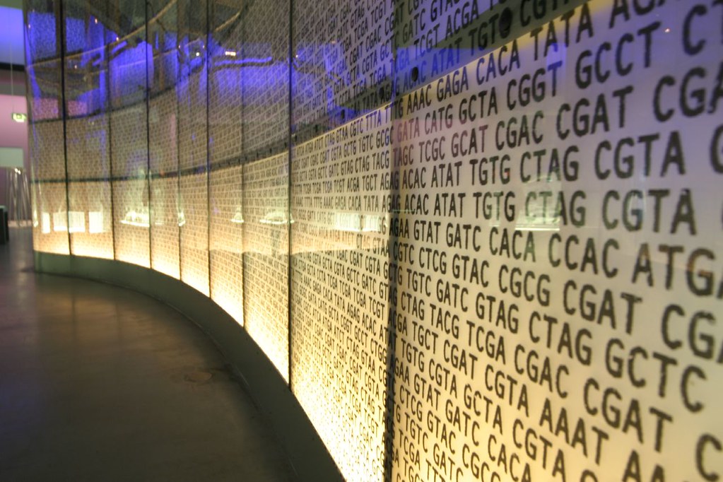 DNA Sequences Listed on a Wall