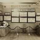 An historical photo of a eugenics society exhibit