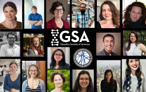The members of the 2020 cohort of early career scientists headshots collage
