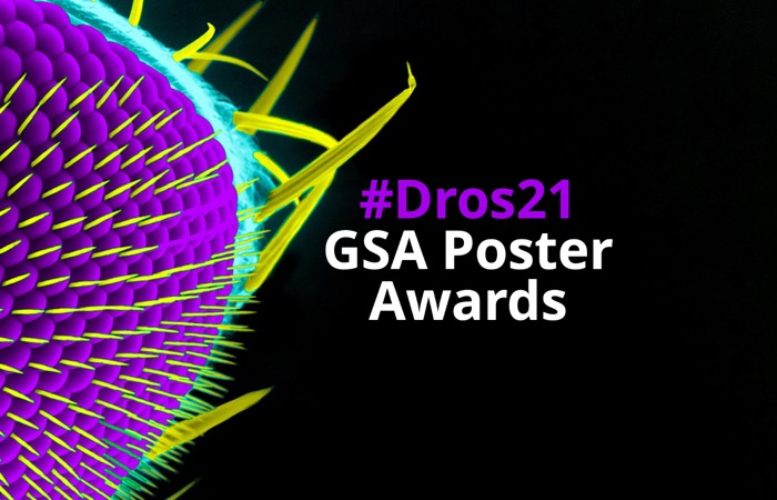 #Dros21 GSA Poster Award winners-image