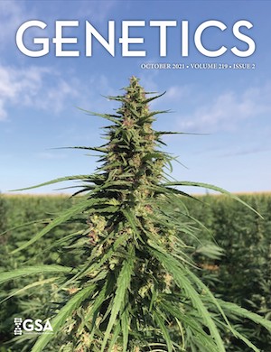 Oct 21 GENETICS journal cover showing hemp growing in a field