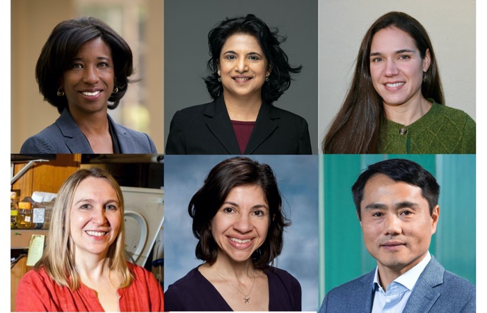 New members of the Board of Directors, 2022–2024-image