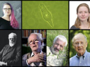 Photos of Veronika N. Laine, a bdelloid rotifer, Olga Vakhrusheva, Matt Meselson, Alex Kondrashov, John Maynard Smith, August Weismann