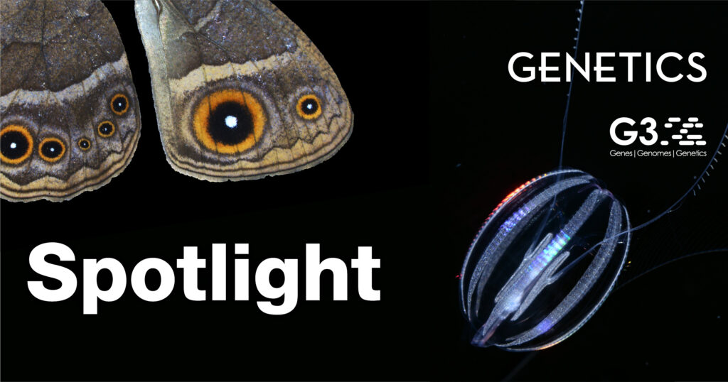GENETICS spotlights the three articles that won the Editor's Choice Awards for 2021