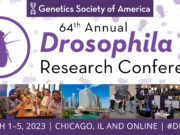 64th Annual Drosophila Research Conference March 1–5, 2023 Chicago, IL and online