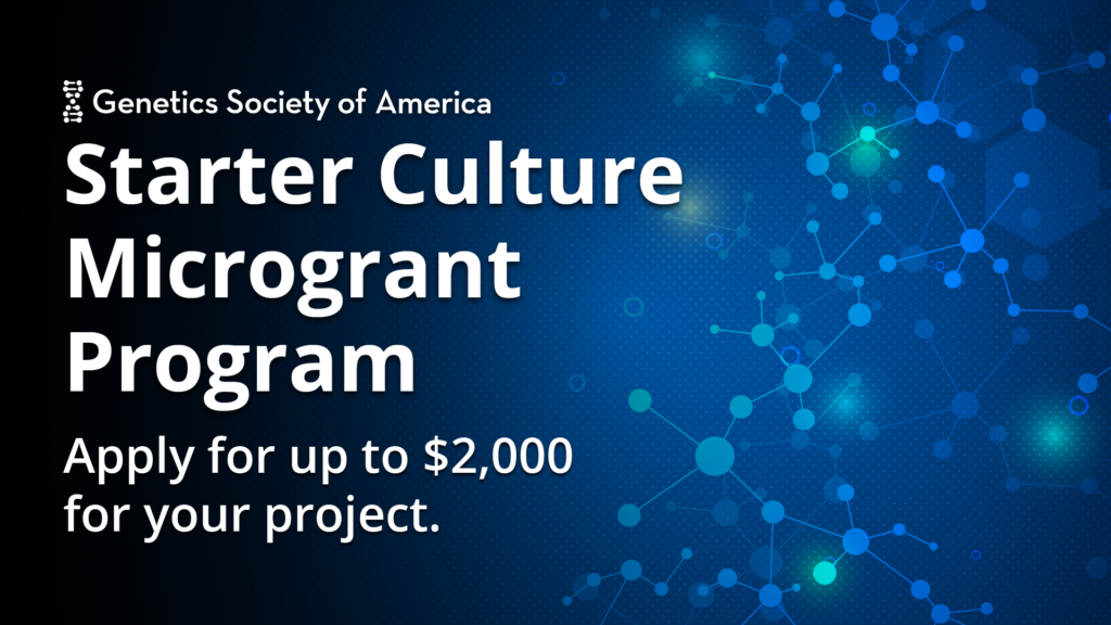 New GSA program offers up to $2,000 microgrants year round-image