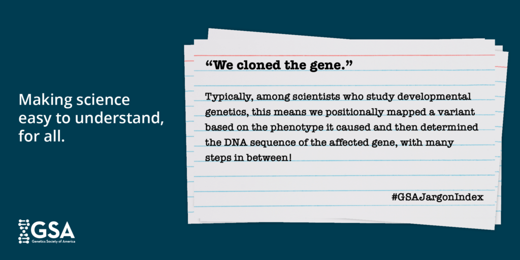 Text on a teal background says, "Making science easy to understand, for all." Text on an image of an index card says, "'We cloned the gene.' Typically, among scientists who study developmental genetics, this means we positionally mapped a variant based on the phenotype it caused and then determined the DNA sequence of the affected gene, with many steps in between!" #GSAJargonIndex