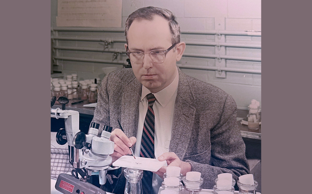 Ed Grell at his dissecting microscope using ether to anesthetize his flies. Image c/o Michael Mislove.