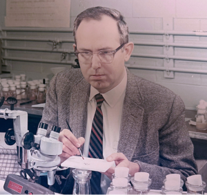 Ed Grell at his dissecting microscope using ether to anesthetize his flies.